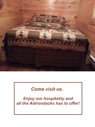 knotty pine bed